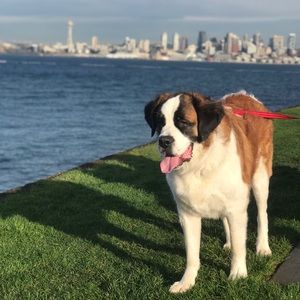 Meet your Posher, Dannette